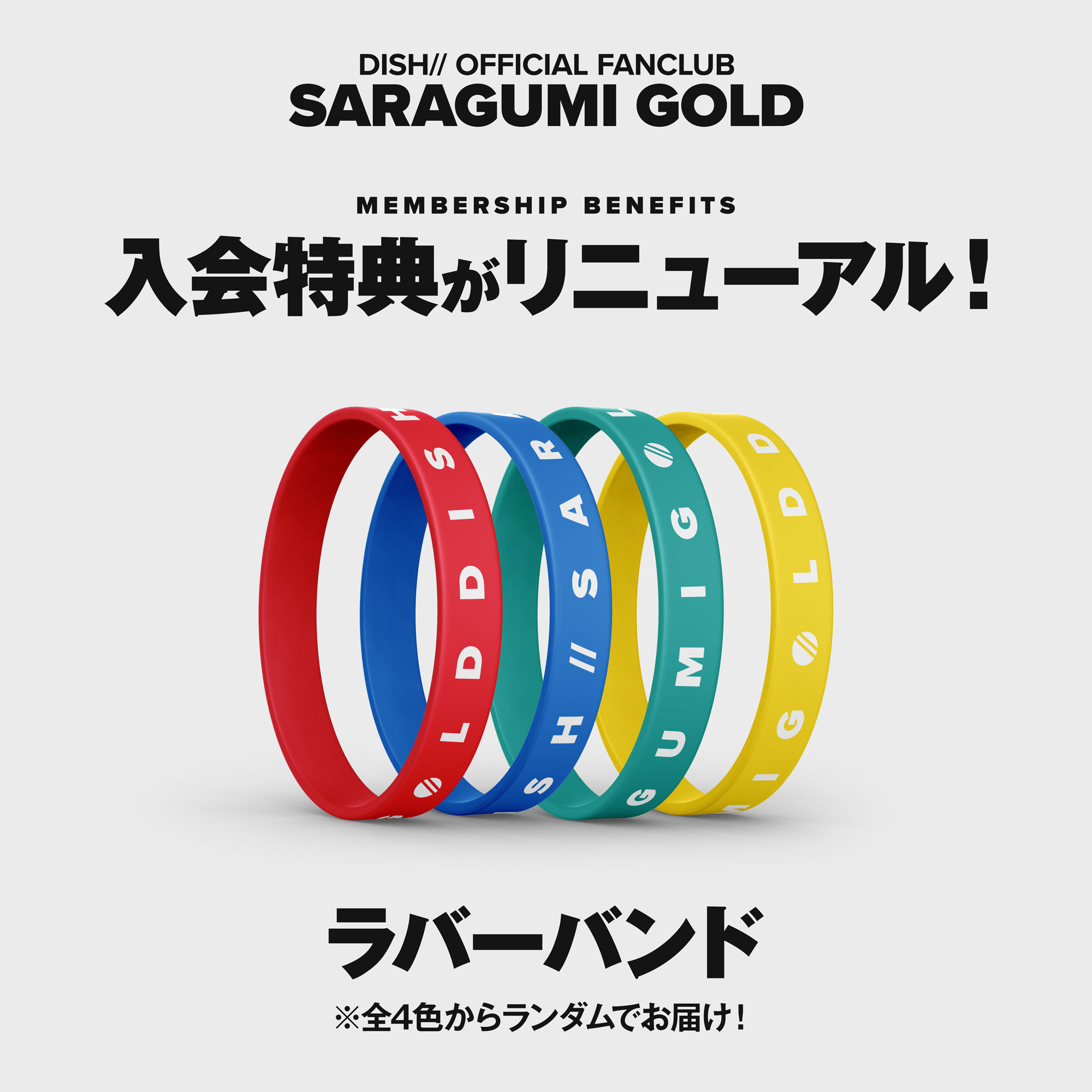 皿組GOLD入会特典リニューアル！｜DISH//オフィシャルファンクラブ 皿